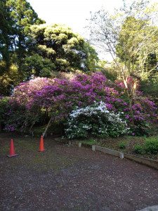 4月27日（木曜日）の写真