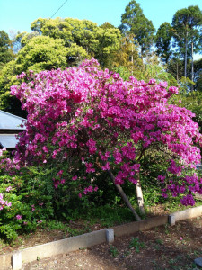 4月28日（金曜日）の写真