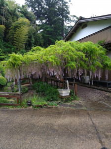 4月30日（日曜日）の写真