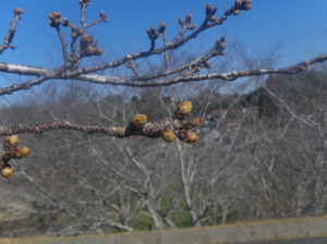 3月22日（金曜日）の写真