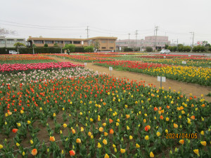 4月5日（金曜日）の写真