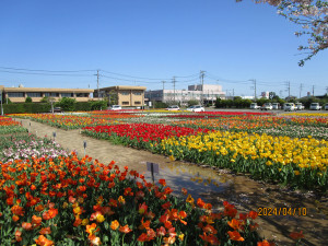 4月10日（水曜日）の写真