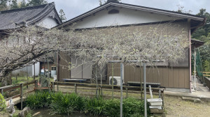 4月17日（水曜日）の写真