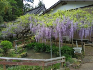 4月26日（金曜日）の写真