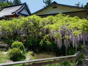 4月30日（水曜日）の写真