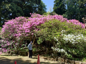 4月30日（水曜日）の写真