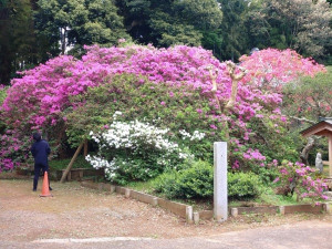5月1日（木曜日）の写真