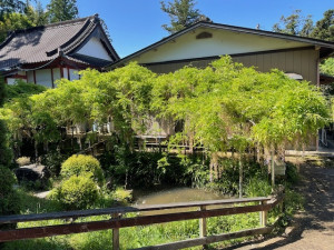 5月7日（水曜日）の写真