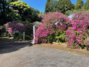 5月7日（水曜日）の写真