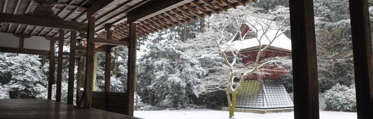 冬の飯高寺