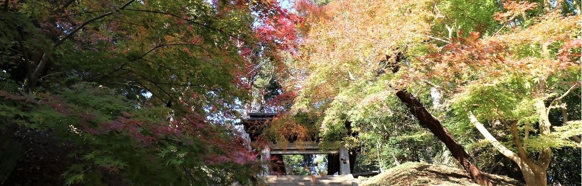 秋の飯高寺（総門）
