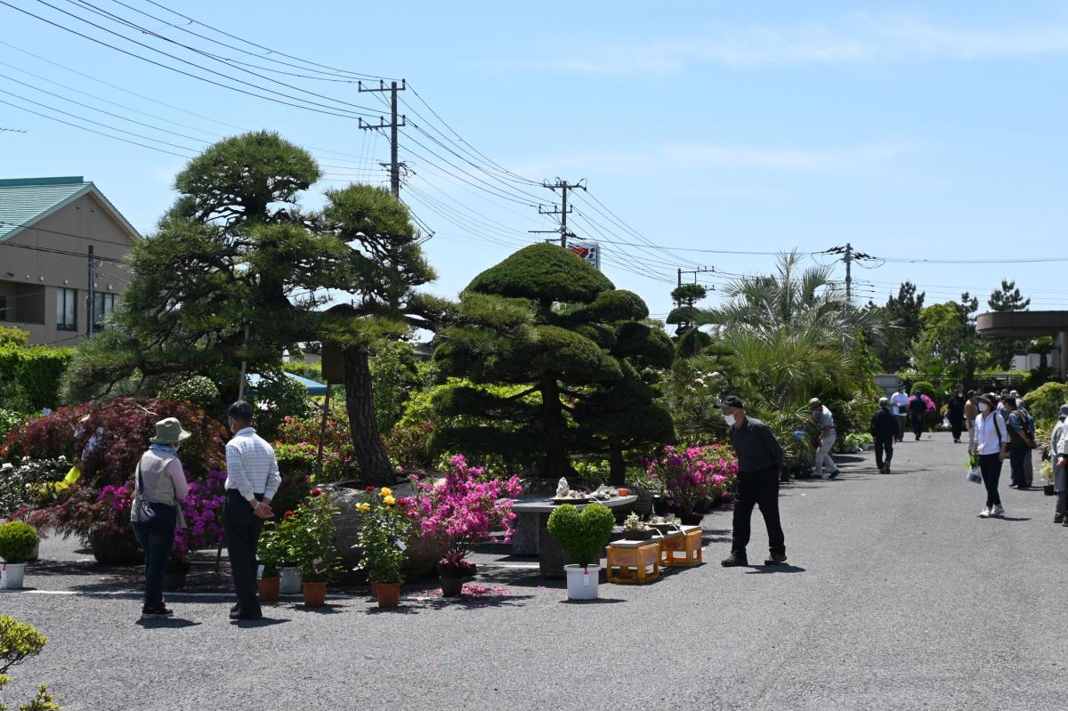 第18回匝瑳市植木まつり（5月3日から5日まで）をピックアップ